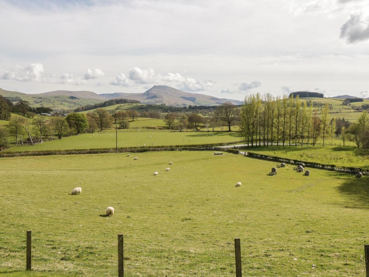 Cyffdy Cottage - Arenig Bala Dış mekan fotoğraf