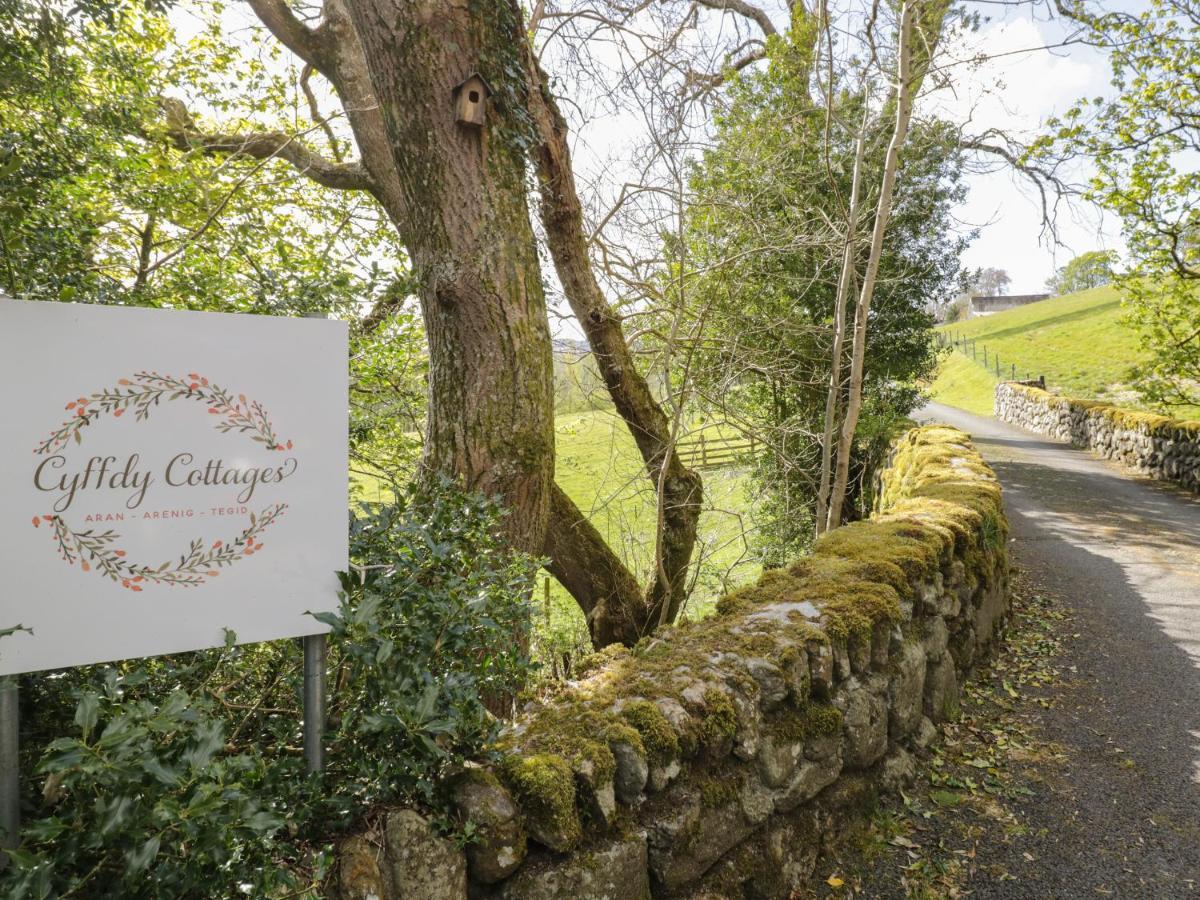 Cyffdy Cottage - Arenig Bala Dış mekan fotoğraf