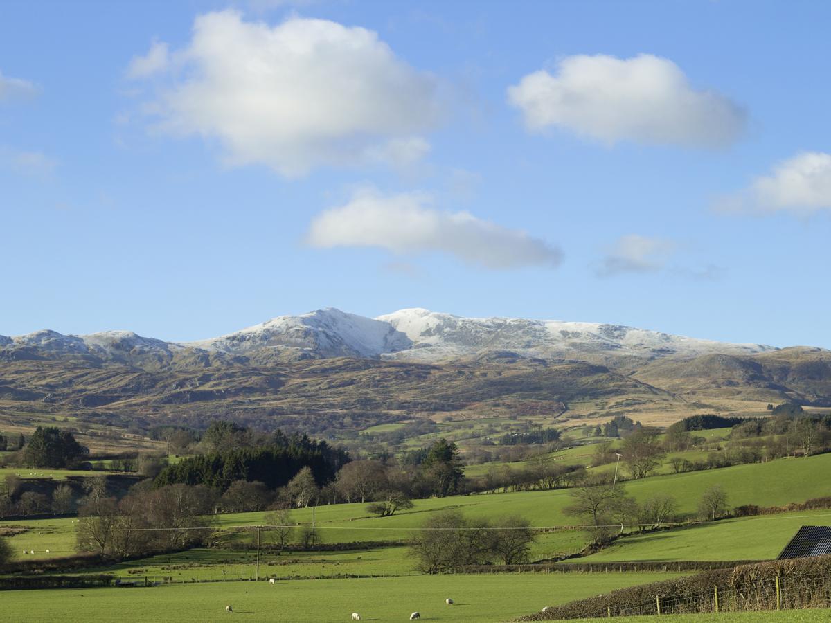 Cyffdy Cottage - Arenig Bala Dış mekan fotoğraf